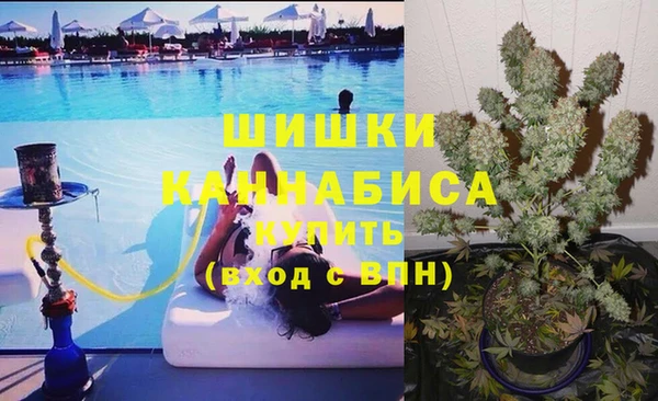 крисы Володарск