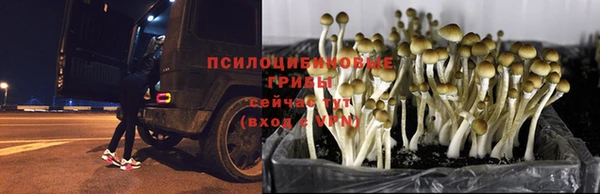 2c-b Волосово