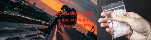 крисы Володарск