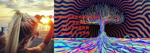 крисы Володарск