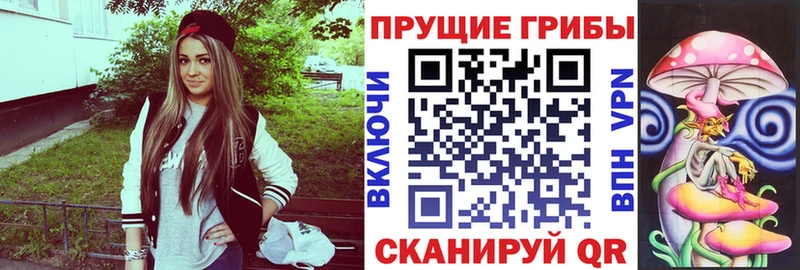 даркнет как зайти  Норильск  Галлюциногенные грибы GOLDEN TEACHER 