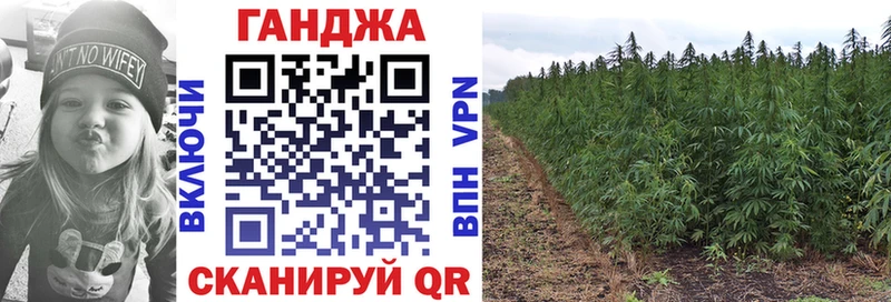 купить   Норильск  Конопля Bruce Banner 